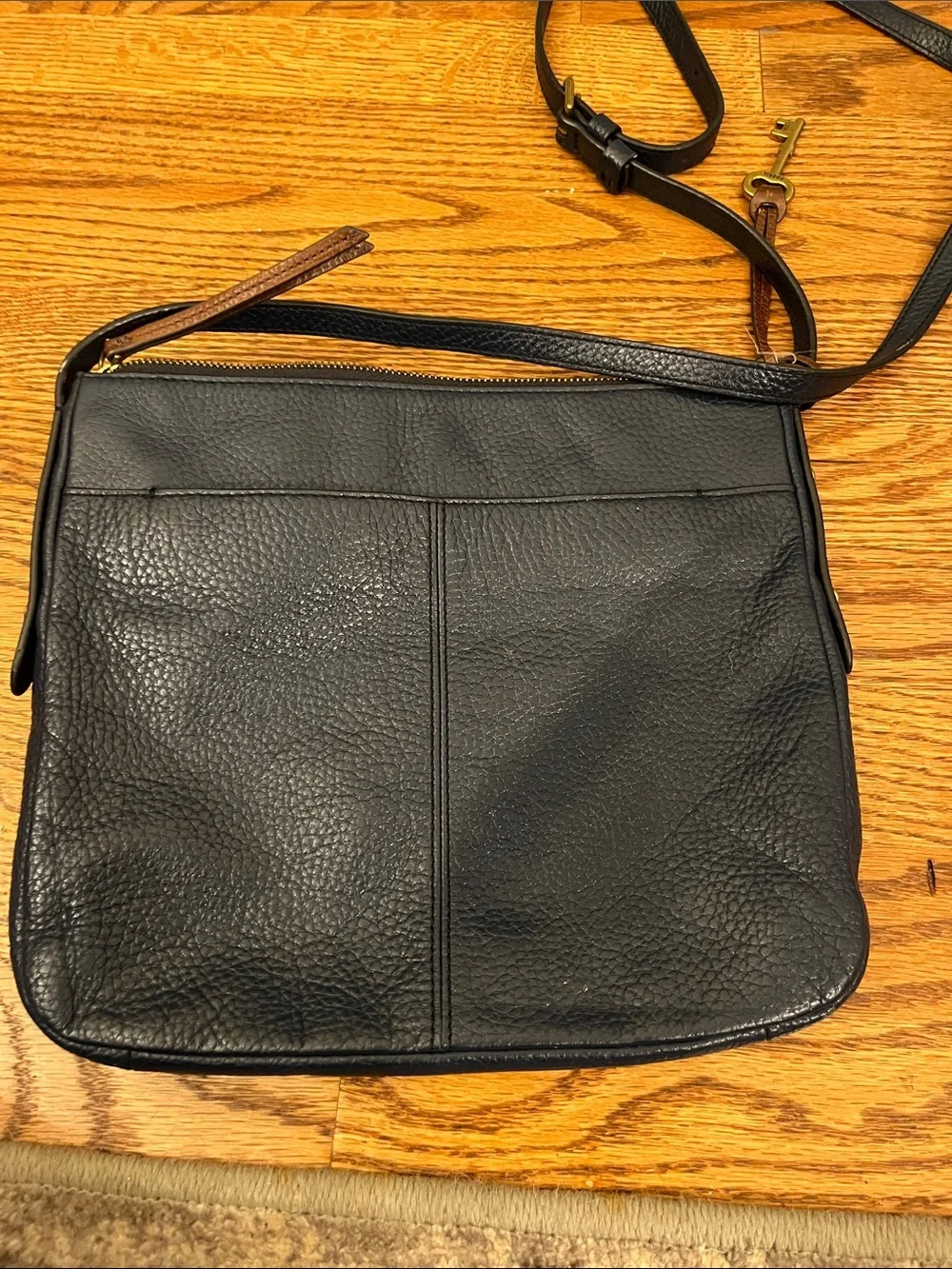 Fossil euc beautiful